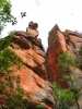 PICTURES/Sedona  West Fork Trail/t_Red Rock Along Creek5.JPG